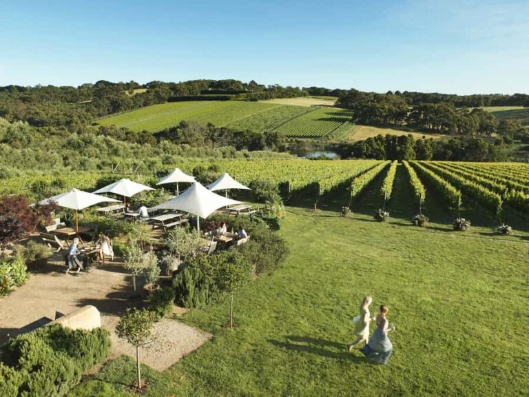Melbourne: Mornington Peninsula Wine Day Tour - Practical Details and What It Means for You