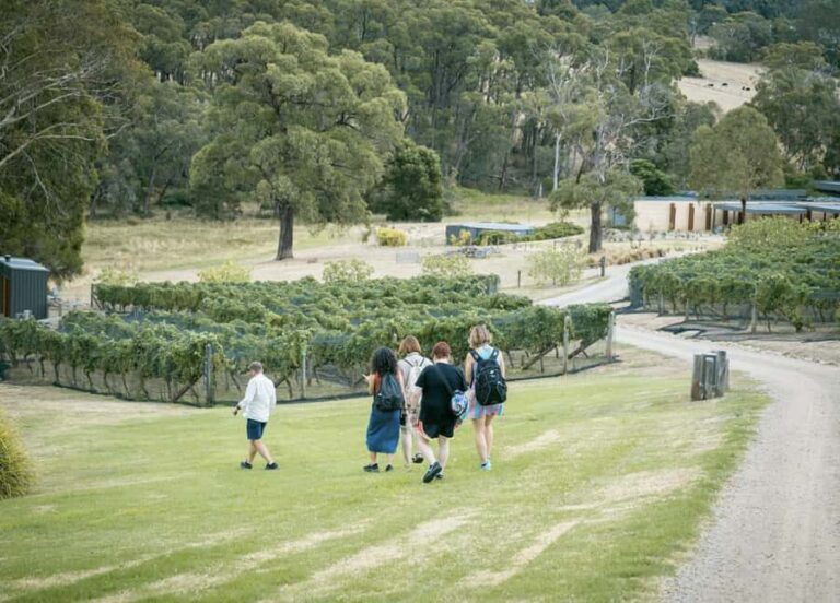 Melbourne: Mornington Peninsula Wine Tour with Lunch - What’s Noteworthy—and What’s Not Perfect