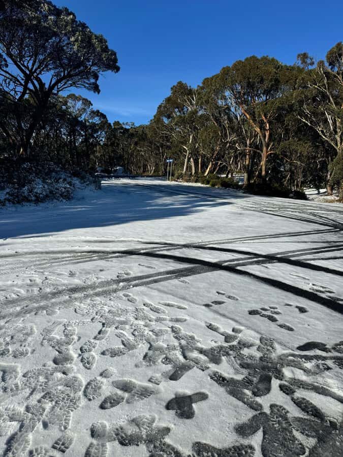 Melbourne: Mount Baw Baw Private Snow Tour with Guide - The Itinerary Breakdown