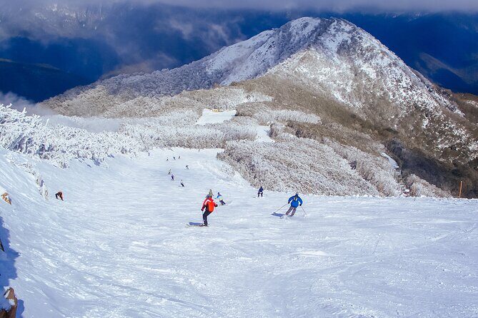 Melbourne: Mt Buller Snow Getaway Day Trip (6 Hours Fun on Snow) - Transportation & Group Size