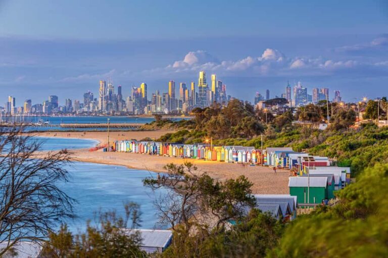 Melbourne: Penguin Parade , Koala & Brighton Bathing Boxes - Pricing and Value