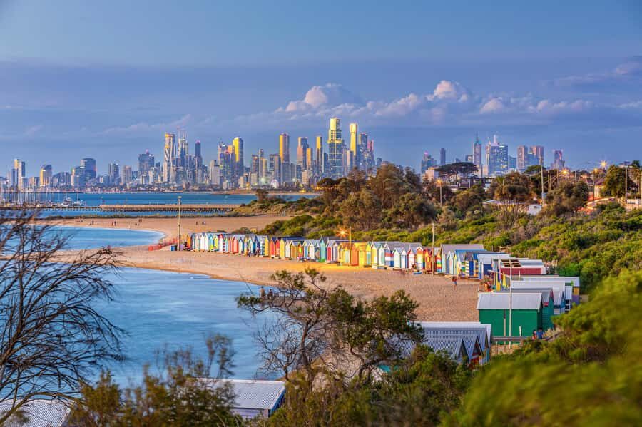 Melbourne: Penguin Parade , Koala & Brighton Bathing Boxes - Pricing and Value