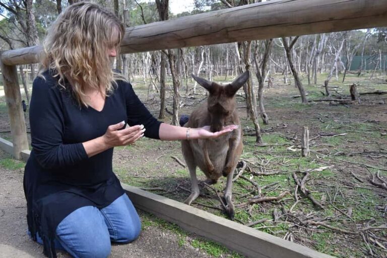 Melbourne: Peninsula Nature Private Day Trip with Dinner - Wildlife at Moonlit Sanctuary
