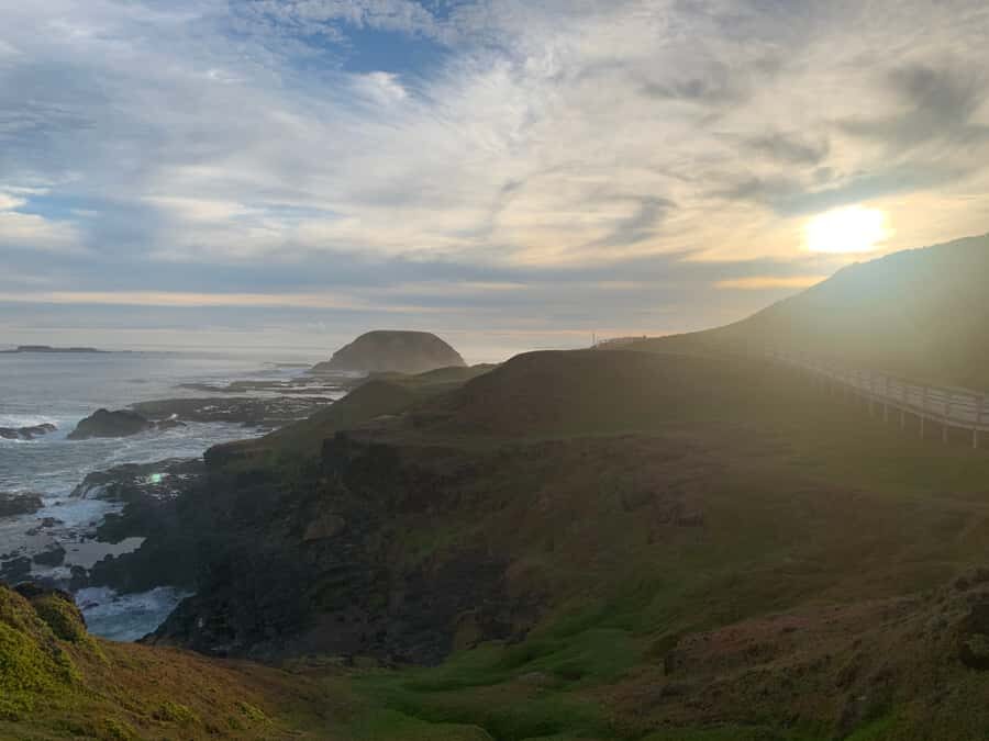 Melbourne: Phillip Island Tour & Penguin Parade - The Sum Up
