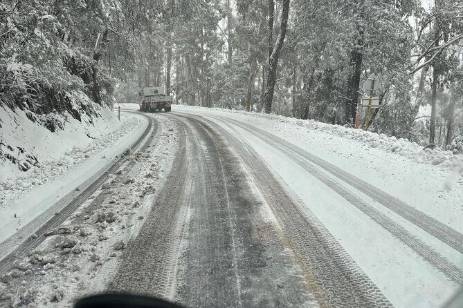 Melbourne: Private Mount Buller Snow and Ski Tours - How the Experience Shapes Up