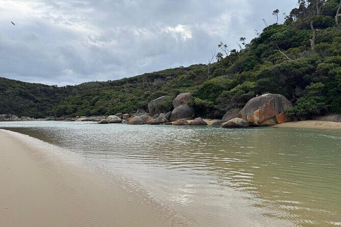 Melbourne: Private Wilson Promontory National Park Day Tours - What Makes This Tour Stand Out