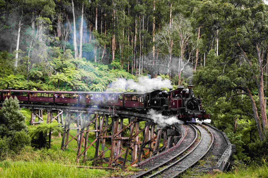 Melbourne: Puffing Billy Railway & Penguin Parade Day Tour - The Value of the Experience