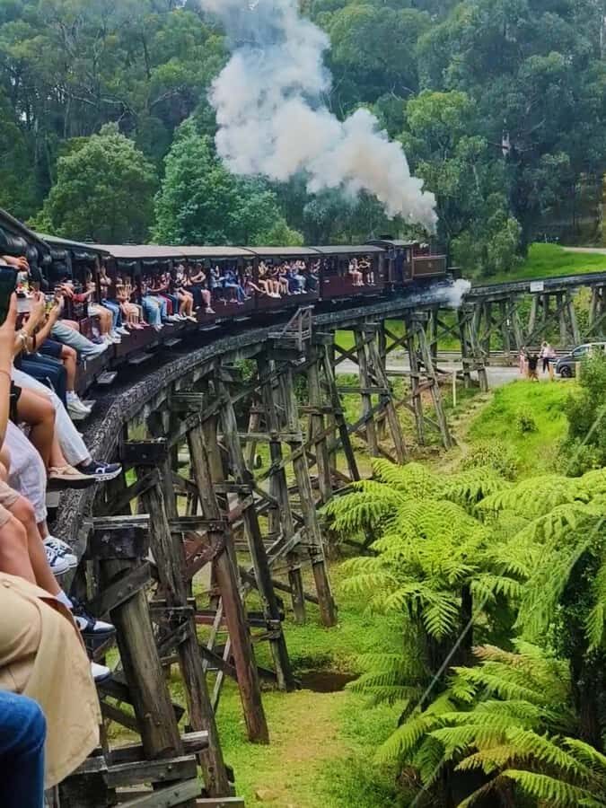 Melbourne: Puffing Billy Train and Penguin Island Day Tour - The Sum Up