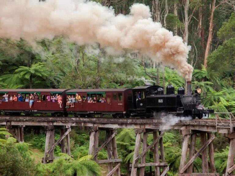 Melbourne: Puffing Billy Train Wildlife Zoo Private Tour - The Puffing Billy Experience