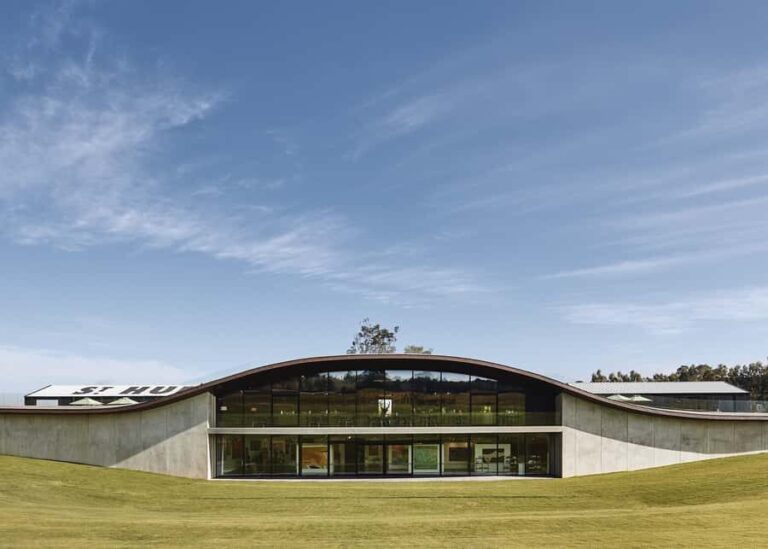 Melbourne: Relaxed Half-Day Yarra Valley Wine Tour - Why This Tour Works for Travelers