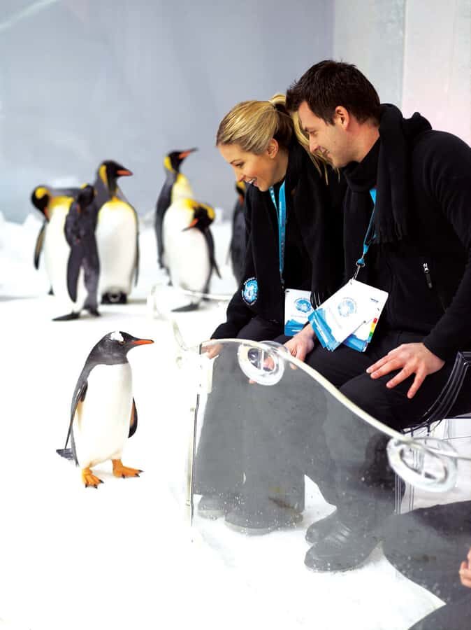 Melbourne: SEA LIFE Aquarium Entrance Ticket - What’s Included in Your Ticket?