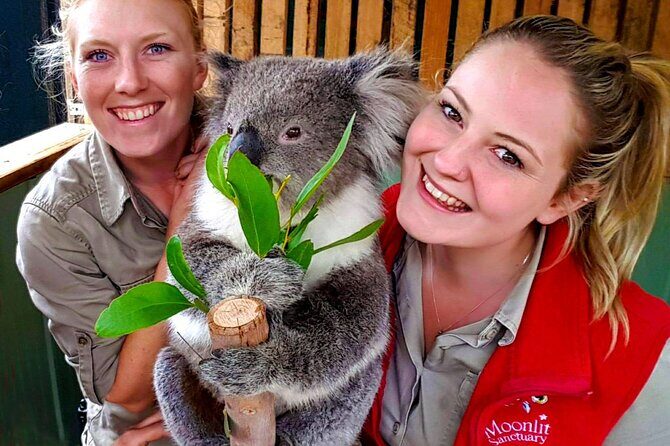 Melbourne Shore Excursion, Aussie Wildlife, Lunch, Wine & Sights - Who Will Love This Tour?