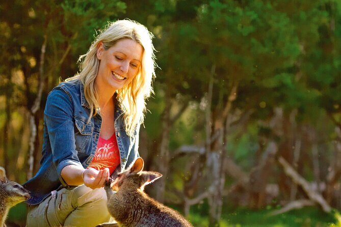 Melbourne Shore Excursion, Wine Region, Wildlife, Shared Tour - Transportation and Group Size