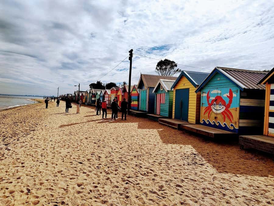 Melbourne Small Group Tour (van and walk) with Beach Boxes - Who Will Love This Tour?