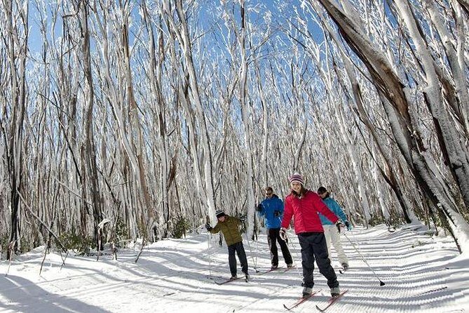 Melbourne Snow Trip to Lake Mountain with Chocolates & Waterfalls - Analyzing the Value