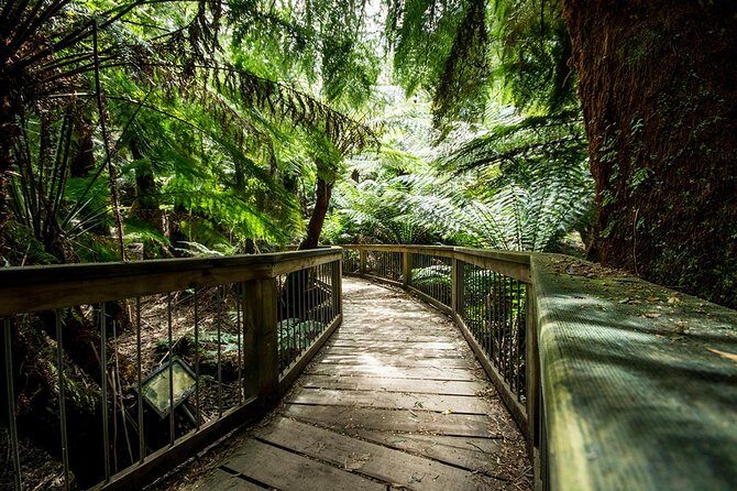 Melbourne to Adelaide 3-Day Great Ocean Road & Grampians Tour - What Travelers Say: Highlights and Practicalities
