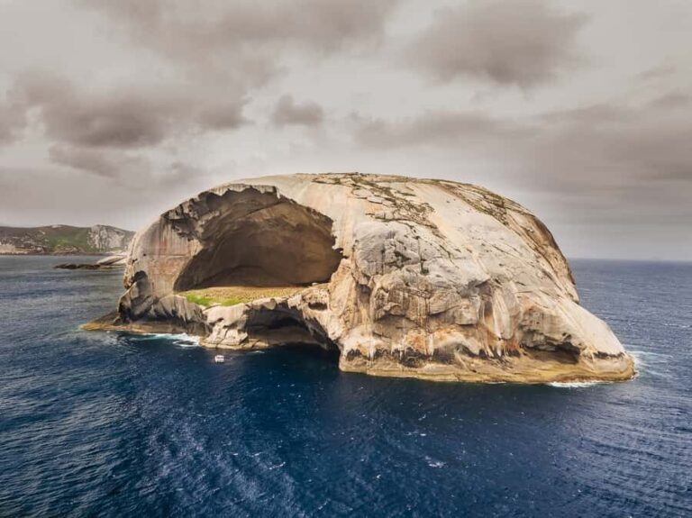 Melbourne: Wilsons Promontory Morning Wilderness Cruise - The Value and Pricing