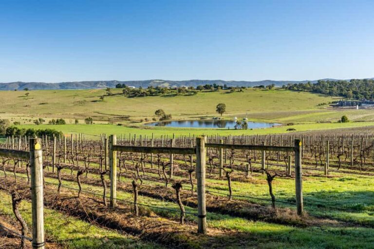 Melbourne: Yarra Valley Wine, Cider, Gin, Beer, & Choc Tour - What Makes This Tour Stand Out