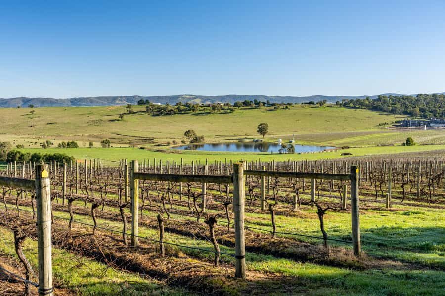 Melbourne: Yarra Valley Wine, Cider, Gin, Beer, & Choc Tour - What Makes This Tour Stand Out