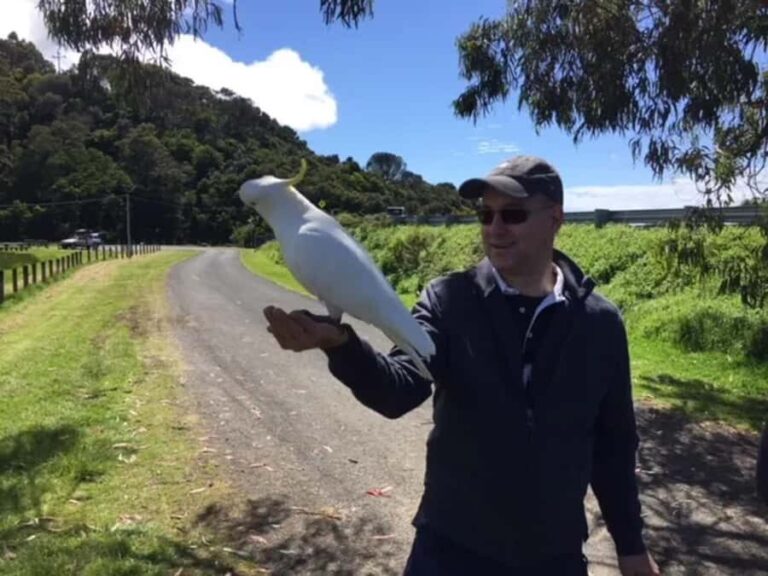 Melbourne: Yarra Valley Winery Private Tour with Lunch - Who Is This Tour Best For?