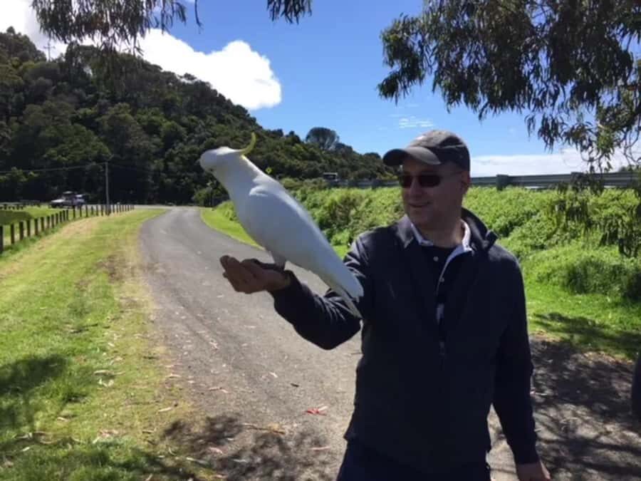 Melbourne: Yarra Valley Winery Private Tour with Lunch - Who Is This Tour Best For?