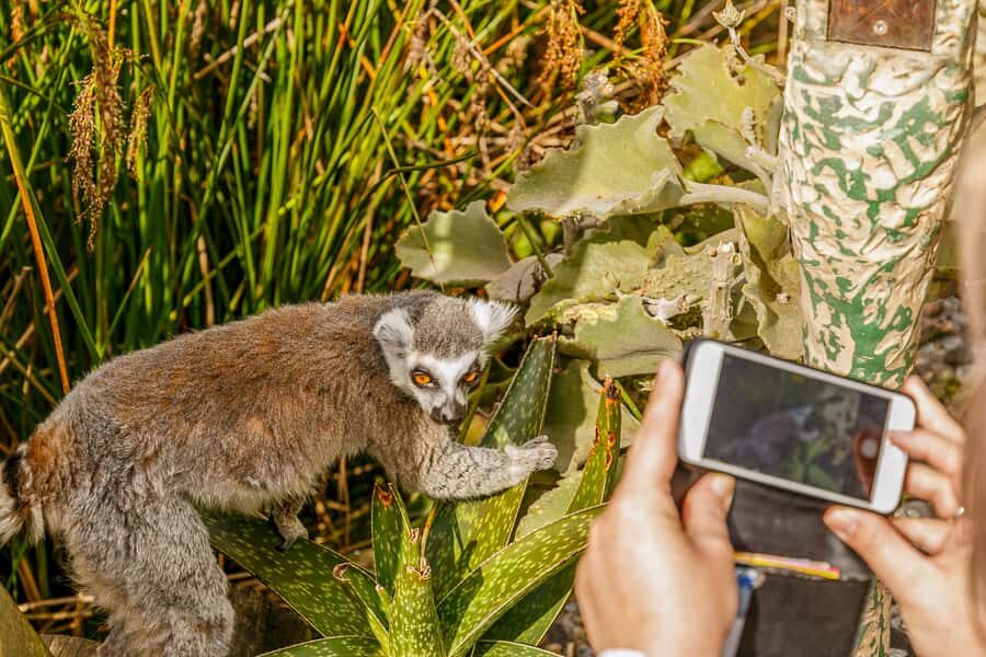 Melbourne Zoo: 1-Day Entry Ticket - Who Will Love Melbourne Zoo?
