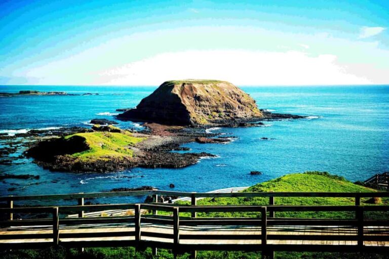 MelbournePhillip Island Tour 1 Day Tour - A Detailed Breakdown of the Day