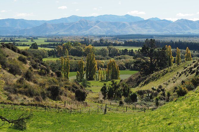 Merino Farm Experience - The Value of a Small Group Experience