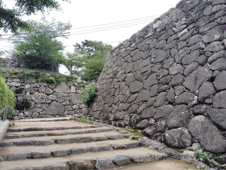 Mie: Explore Historic Matsusaka Castle & Samurai Residences - Who Should Consider This Tour?