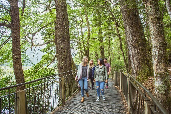 Milford Sound Coach and Cruise tour from Queenstown - FAQs