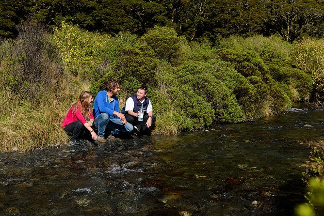 Milford Sound Day Tour with Scenic Cruise from Queenstown - The Overall Value