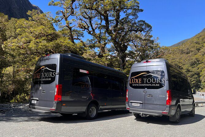 Milford Sound Full Day Tour from Te Anau with Cruise - Detailed Breakdown of the Route and Stops