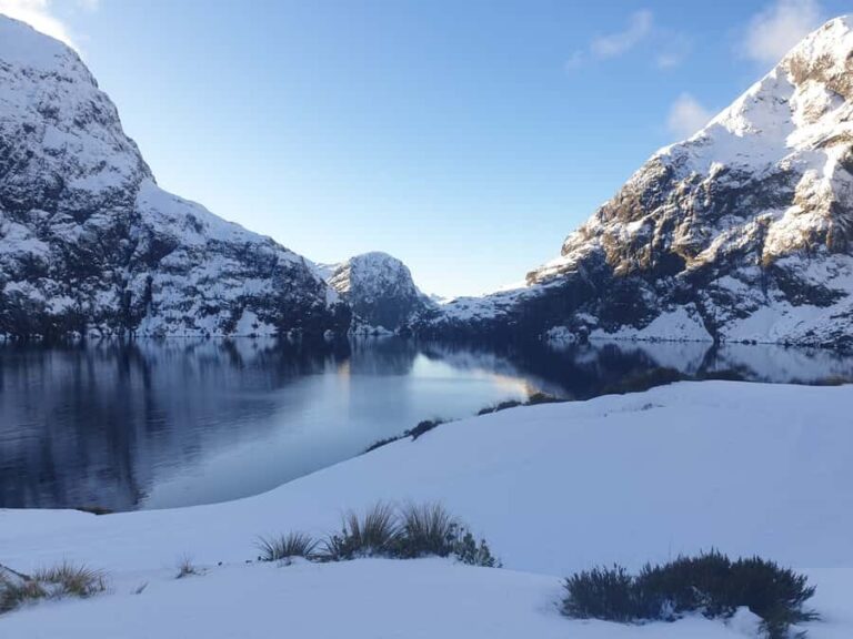 Milford Sound: Helicopter Flight with Waterfall Landing - Who Should Consider This Tour?