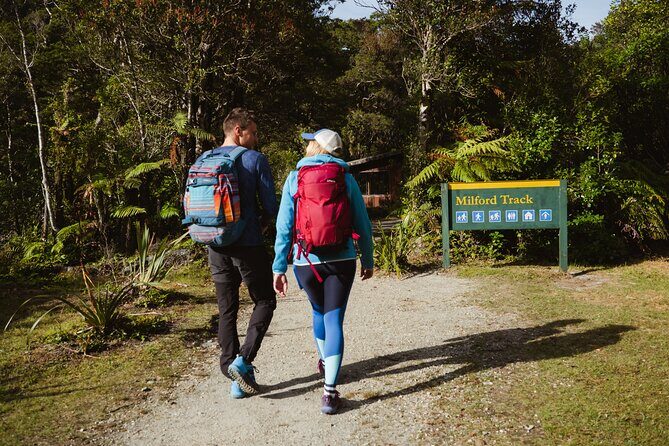Milford Sound Nature Cruise and Self-Guided Scenic Track Walk - What Travelers Say