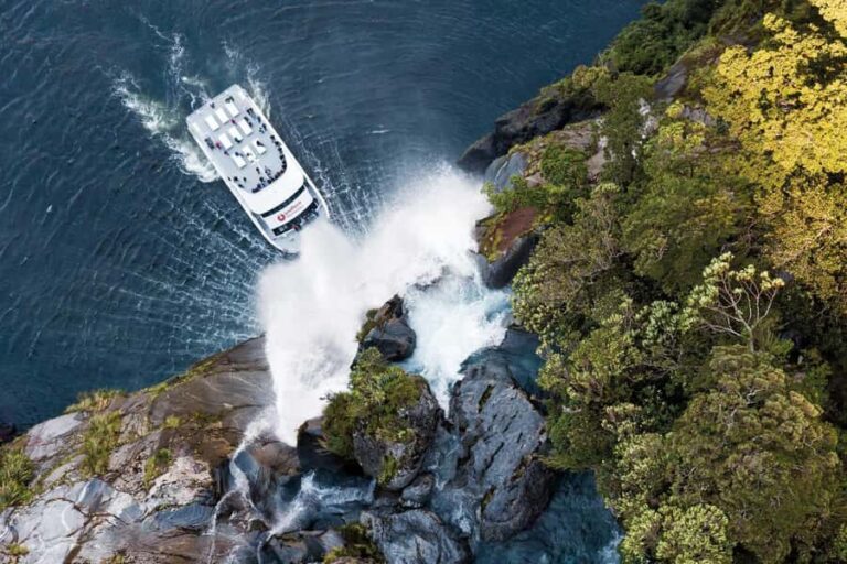 Milford Sound: Nature Cruise - Grand Views & Optional Lunch - Who Will Love This Tour?