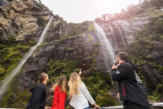 Milford Sound Nature Cruise with Southern Discoveries - The Sum Up