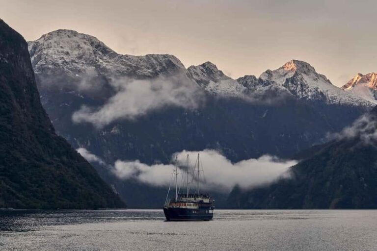 Milford Sound: Overnight Cruise with Water Activities - Who Is This Tour Best Suited For?