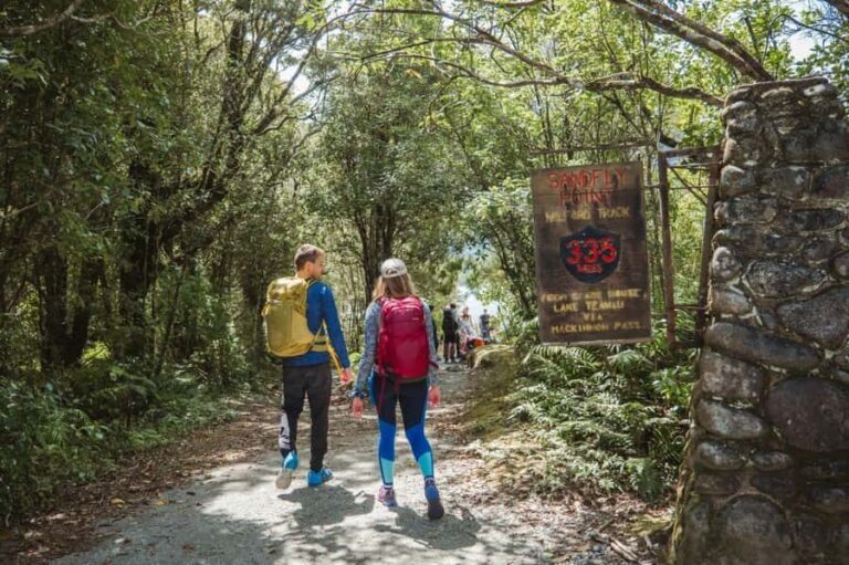 Milford Sound: Self-Guided Milford Track Day Walk - Why This Experience Offers Good Value
