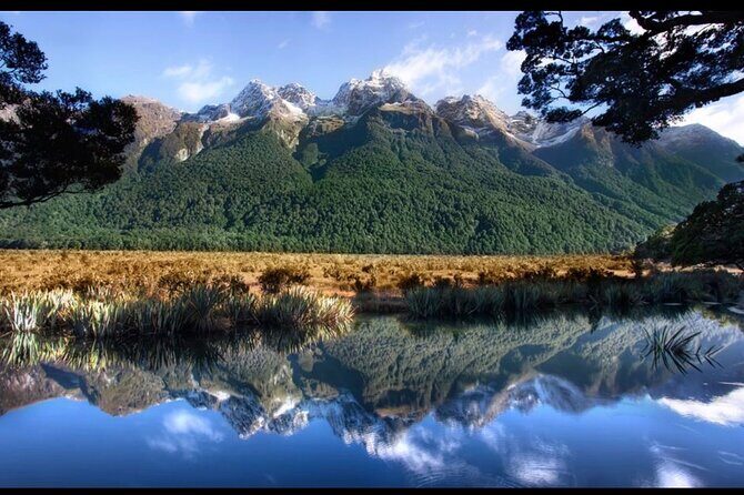 Milford Sound Small Group Day Tour From Queenstown - Monkey Creek: A Glacial Stream