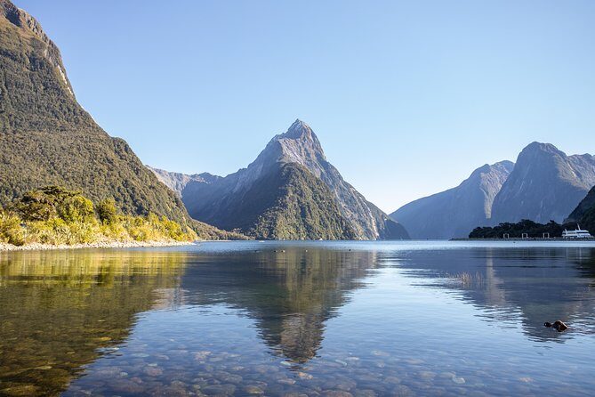 Milford Sound Small Group Tour from Queenstown with Scenic Flight - What Travelers Are Saying: Authentic Perspectives