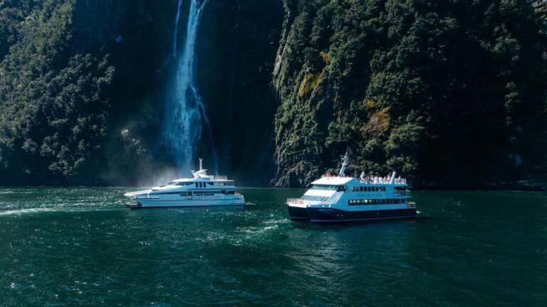 Milford Sound: Waterfalls, Wildlife, and Rainforest Cruise - The Itinerary and What to Expect