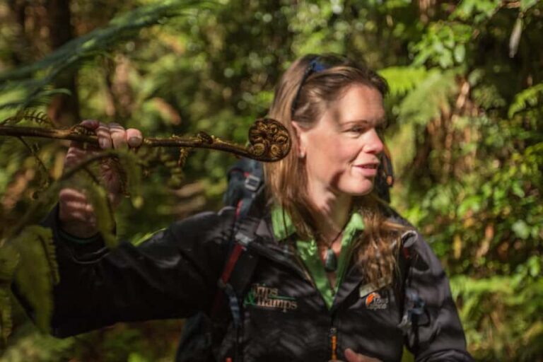 Milford Track: Full Day Guided Hike and Nature Cruise - The Logistics and Practicalities