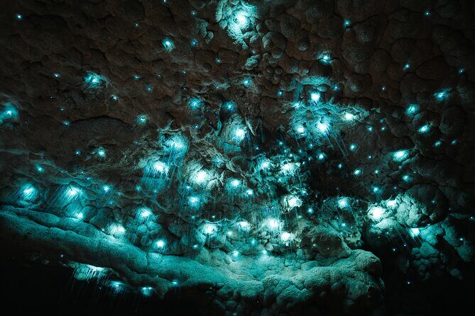 Milky Way Glowworm Cave Tour - The Experience: What Youll See and Feel