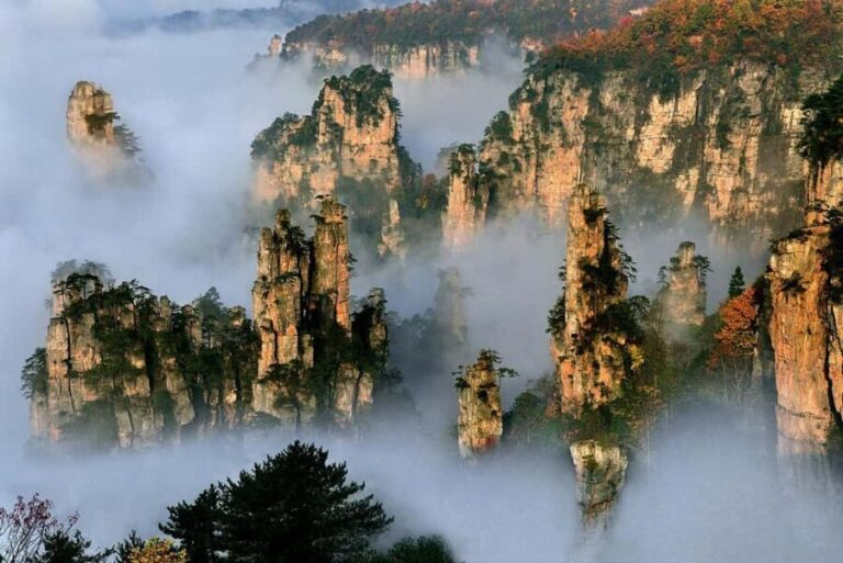 Mini Group Tour: Zhangjiajie Forest Park & Avatar Mountains - The Itinerary Breakdown