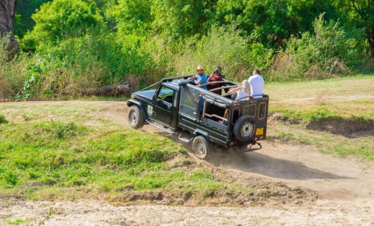 Minneriya National Park Safari from Sigiriya (Private Group) - The Practical Side: Cost, Comfort, and Tips