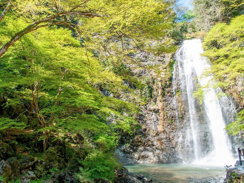 Minoo Park: Guided Nature Walk - The Itinerary in Detail