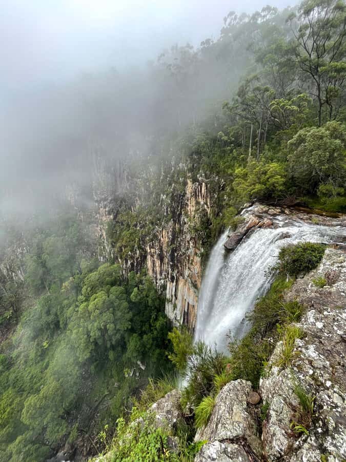 Minyon Waterfall Rainforest Tour - Why This Tour Works Well