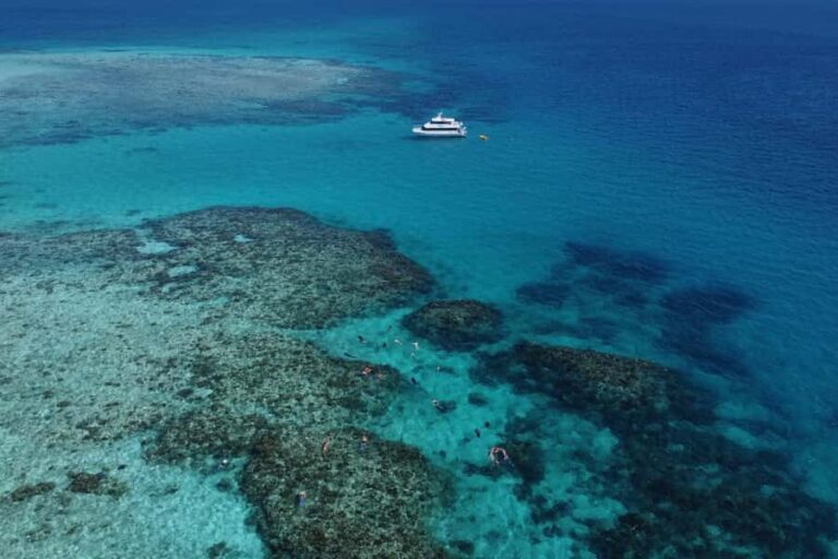 Mission Beach: Outer Great Barrier Reef & Dunk Island Tour - The Value in the Details