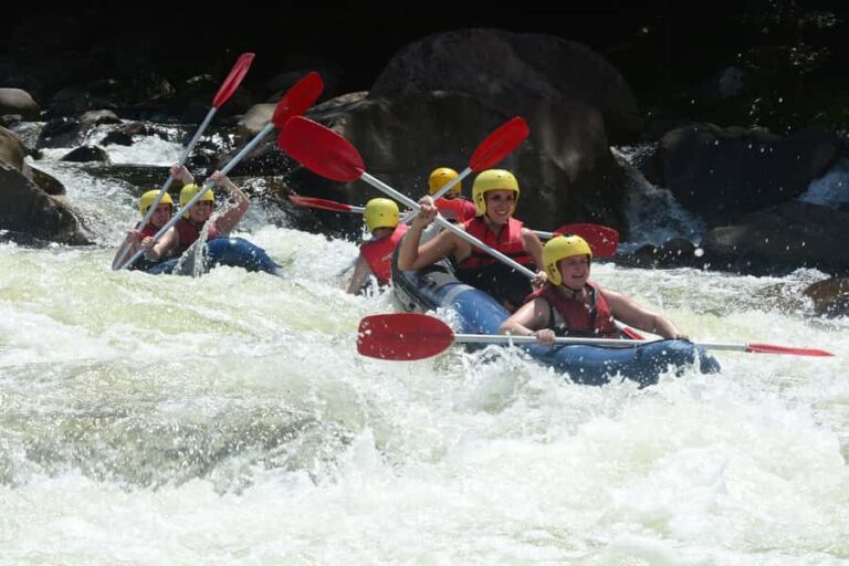 Mission Beach: Tully River Half Day White Water Rafting - Authentic Feedback from Participants