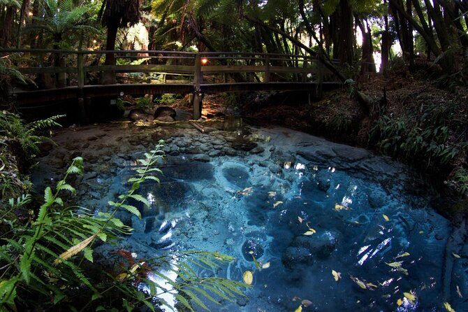 Mitai Maori Village,Waiotapu Thermal Wonderland& Redwood Treewalk - Stop 1: Exploring Kuirau Park